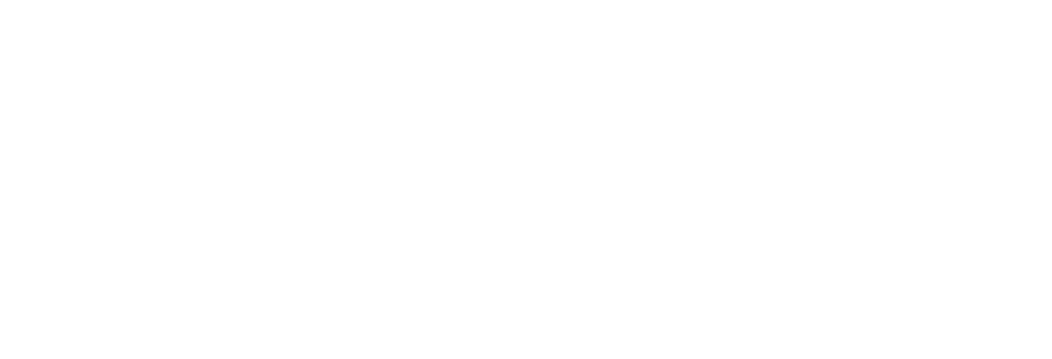 The AIPreneurs School